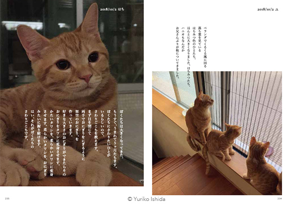 Staff's Report #112 いしらさんと動物たちの毎日を綴った『ハニオ日記